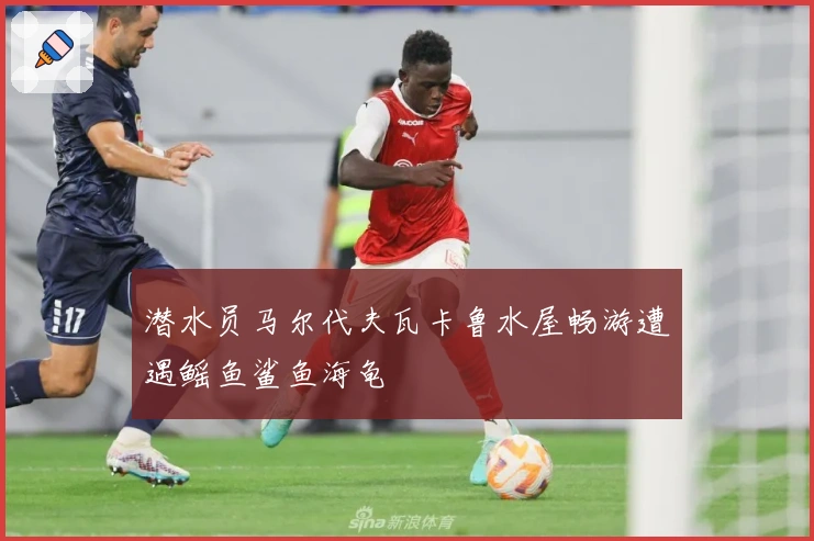 潜水员马尔代夫瓦卡鲁水屋畅游遭遇鳐鱼鲨鱼海龟