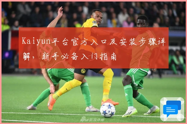 Kaiyun平台官方入口及安装步骤详解，新手必备入门指南