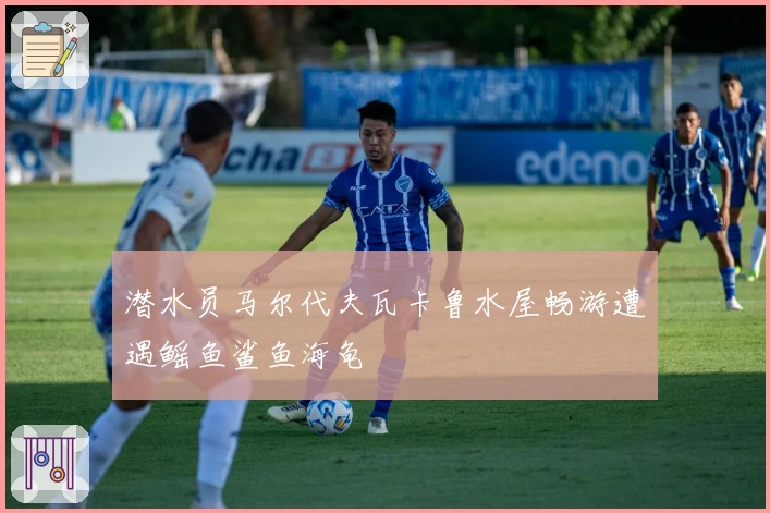 潜水员马尔代夫瓦卡鲁水屋畅游遭遇鳐鱼鲨鱼海龟