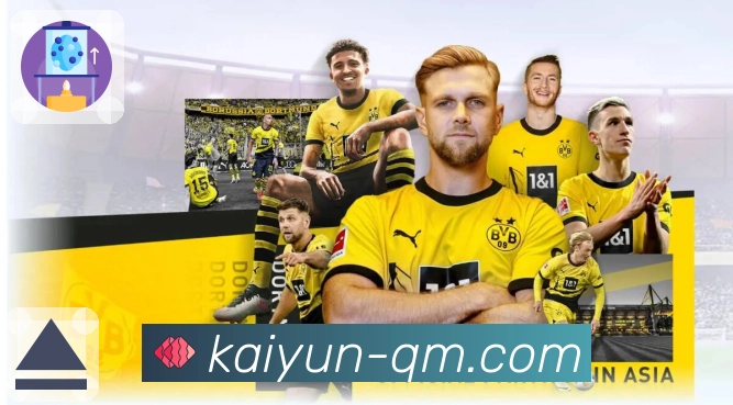 开云观赛收藏夹